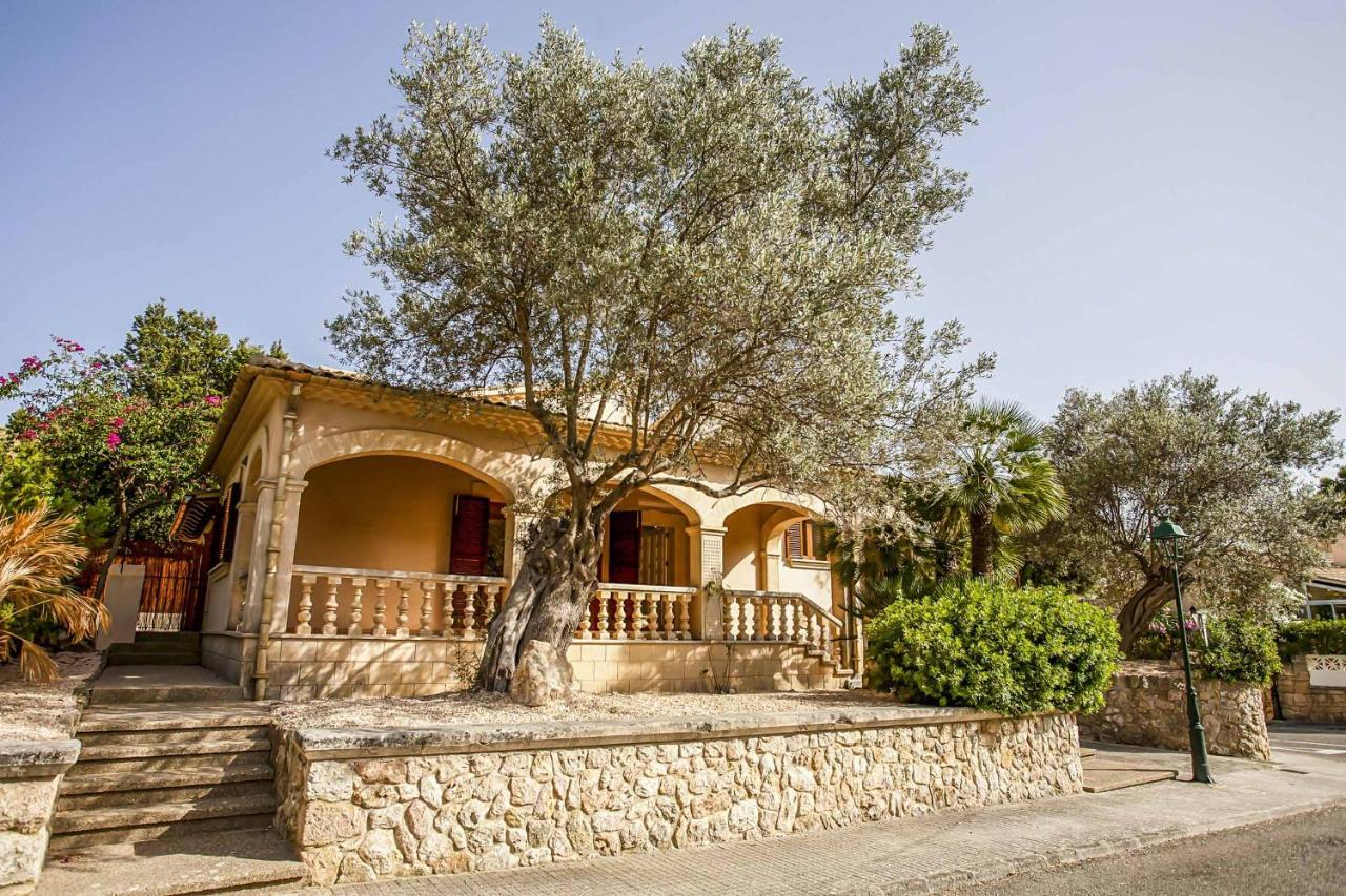 Orell Planas Cala de Sant Vicenc